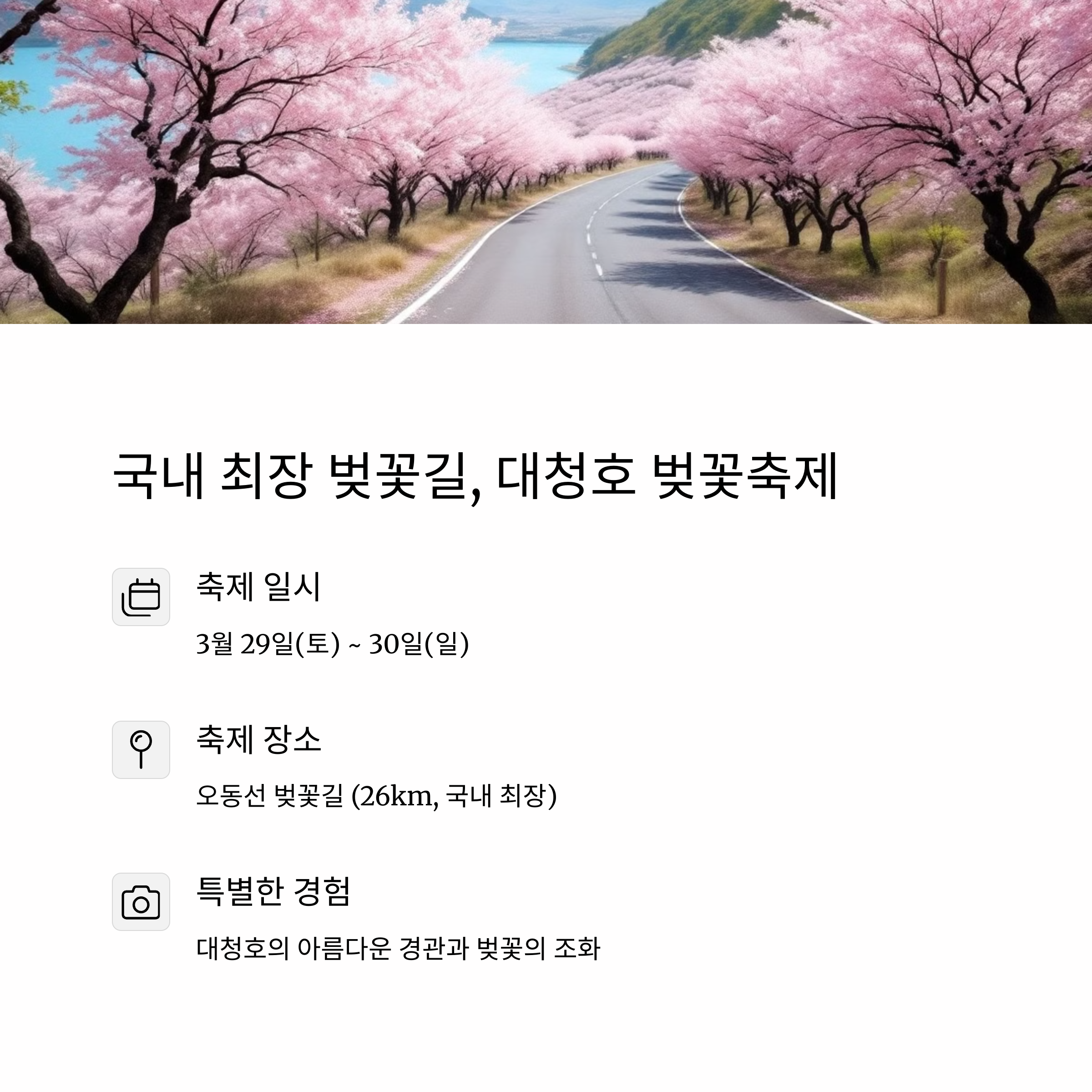 대청댐 벚꽃 오동선 벚꽃길