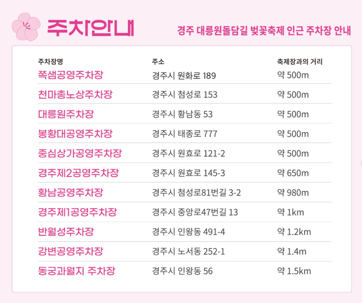 경주 대릉원 돌담길 벚꽃축제