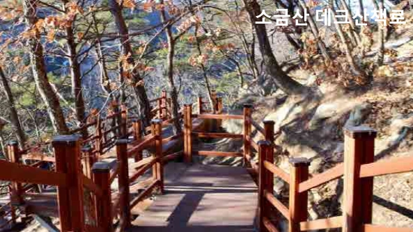 소금산 출렁다리 데크산책로