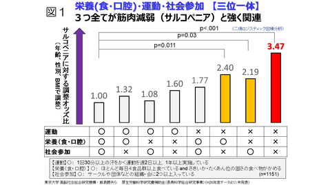 '카시와 프로젝트'에서 배우는 '지역 포괄 케어'의 마을 만들기