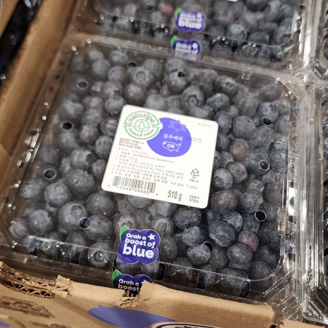 블루베리 510g