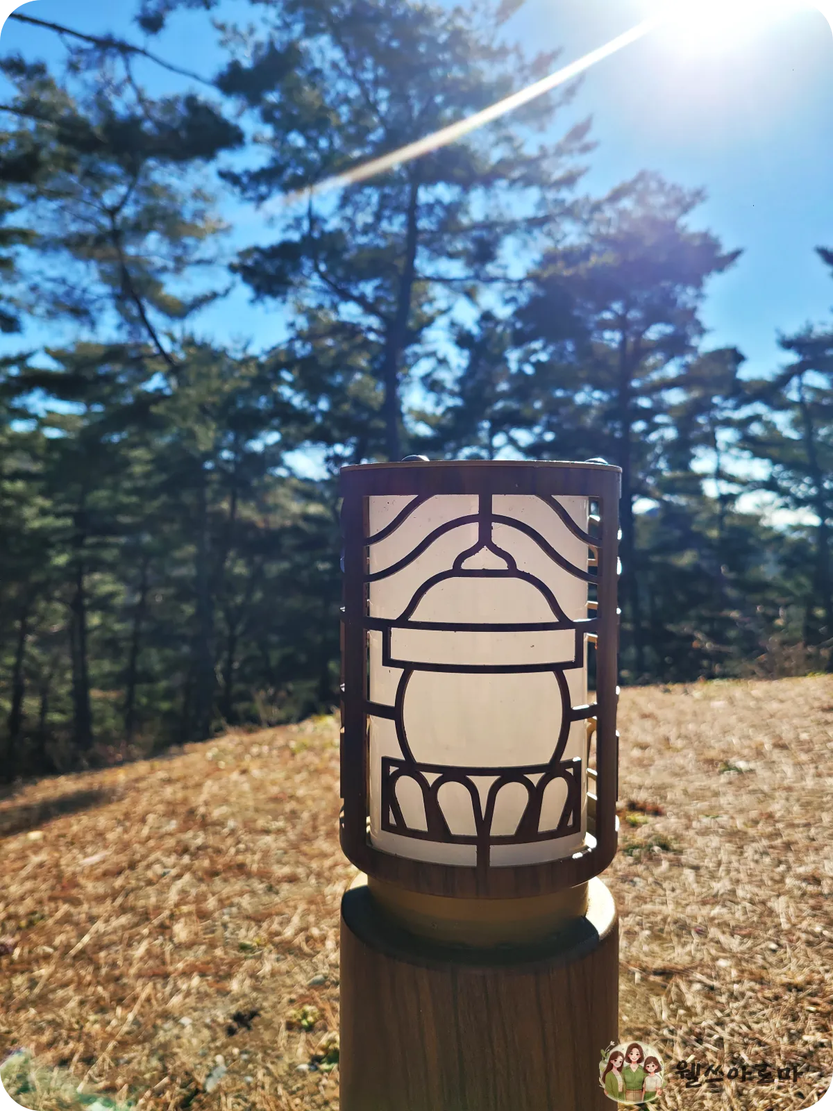 세종대왕자태실-가로등무늬-소나무와-파란하늘배경-햇살