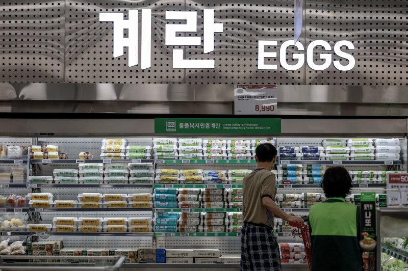 지난 5일 서울시내 한 대형마트에서 소비자들이 계란을 살펴보고 있다.