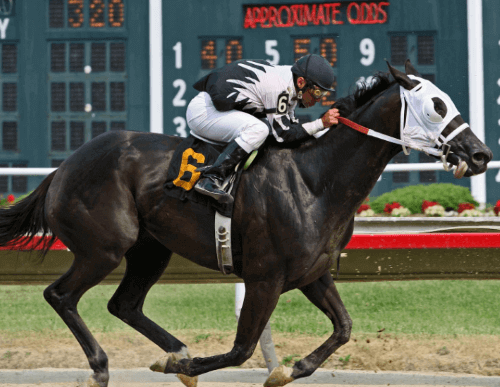 경마 마권 스마트폰으로 시작하는 방법!