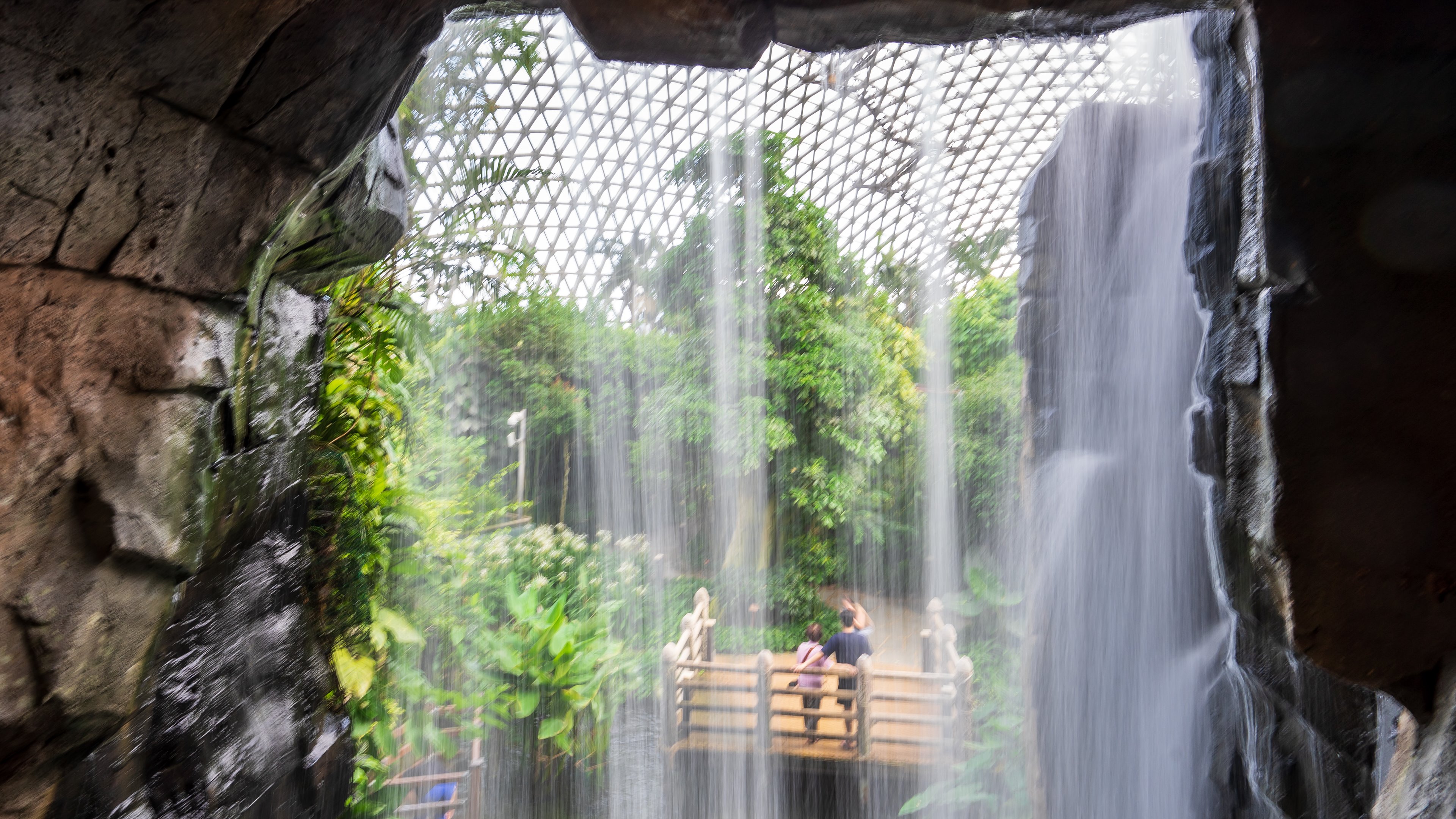 거제식물원 정글돔