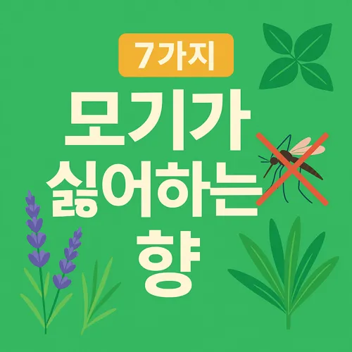 모기가 싫어하는 향 포스터