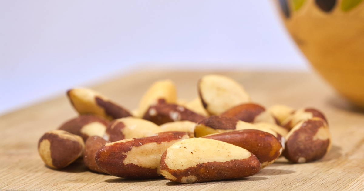 강아지 브라질너트 먹어도 되지만 좋지 않다