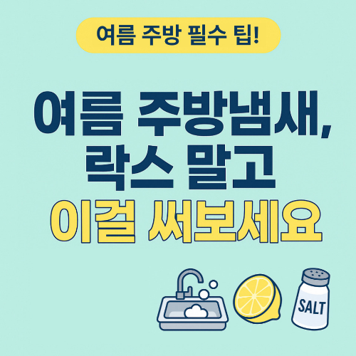 "여름 주방냄새 락스 말고 이걸 써보세요" 텍스트가 들어간 썸네일 이미지