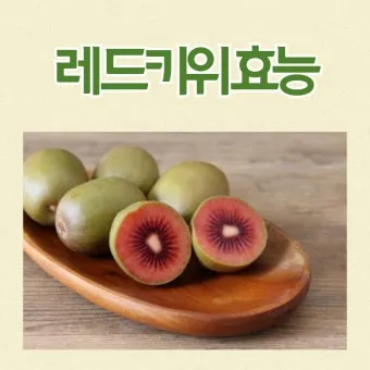 키위 효능과 부작용 비타민 풍부한 과일 정보_19