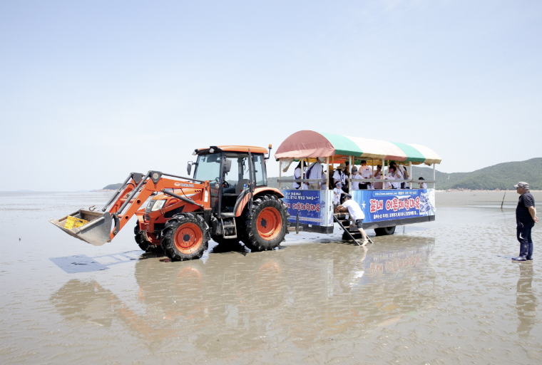 무의도 포내어촌체험마을