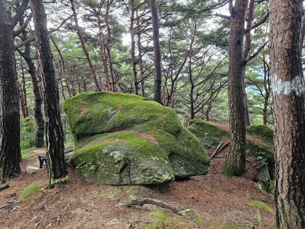 남원 가볼만한 곳- 애기봉에서 맨발걷기, 산책, 등산하세요