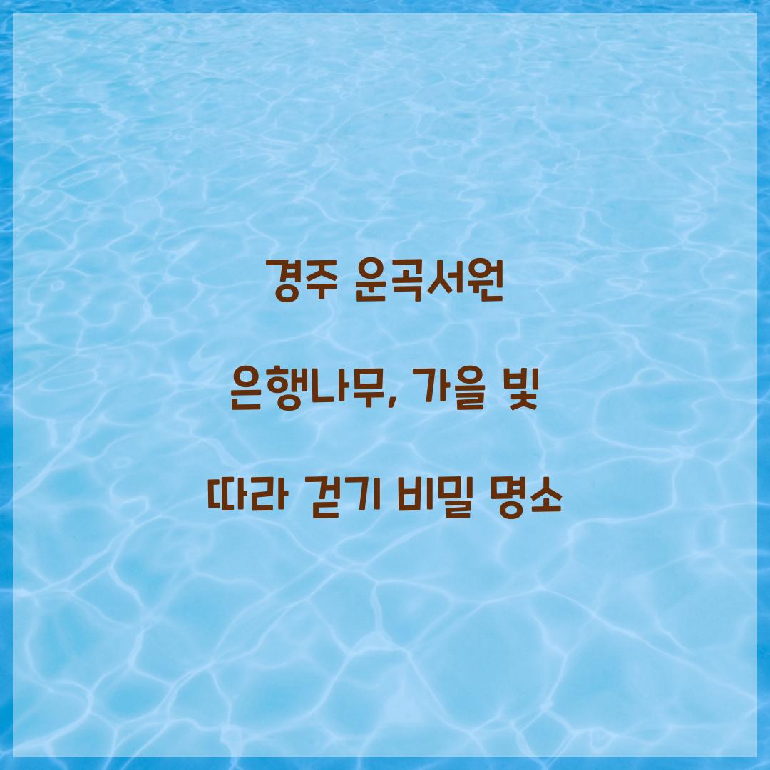 경주 운곡서원 은행나무