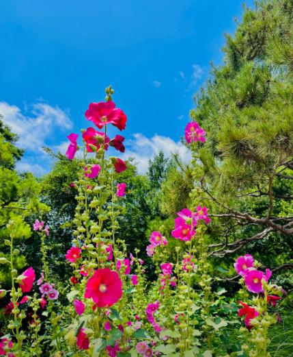 한국도로공사 전주수목원2
