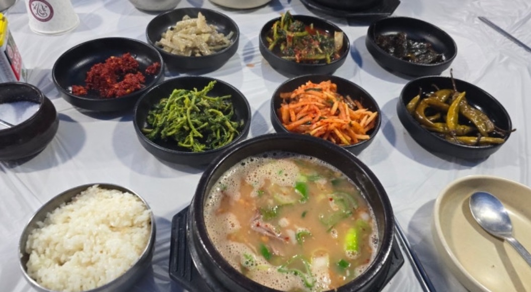 청양-밥주는민박집-1박2일-송조농원