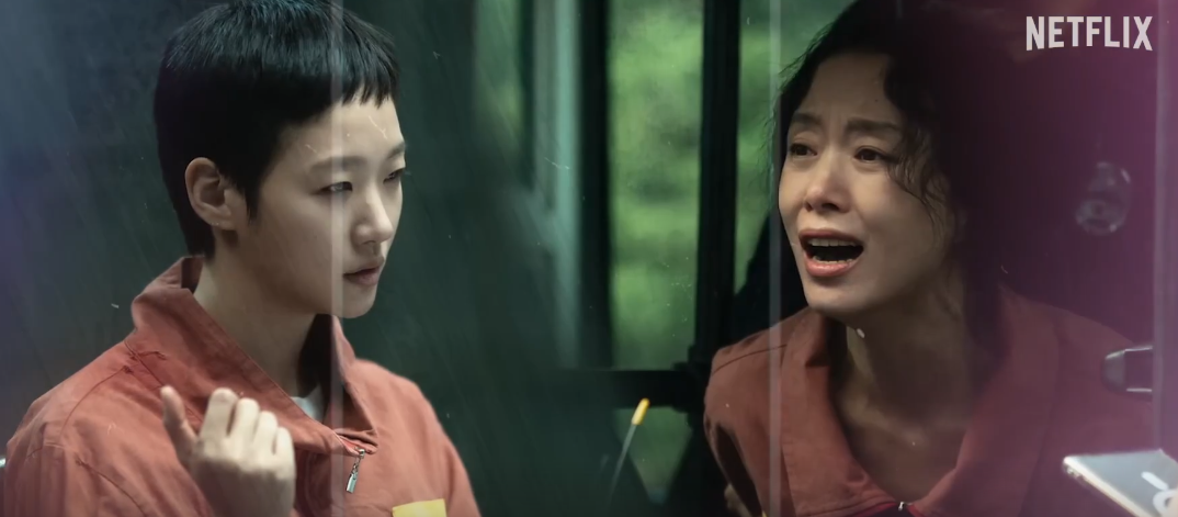 자백의 대가 출연진