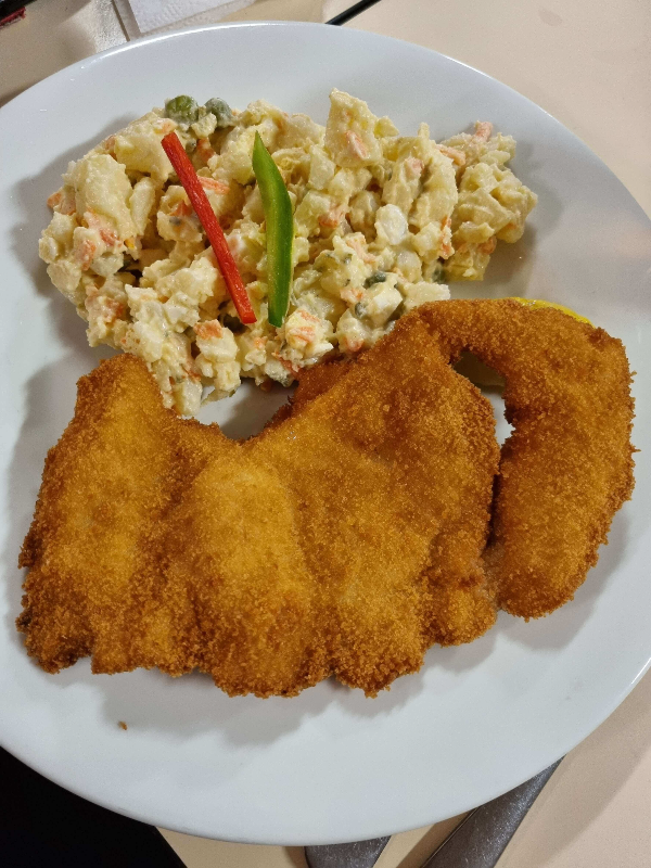 호주 브리즈번 가볼만한 곳 : 체코클럽, 독일클럽 투어