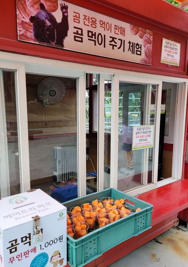 곰 먹이주기