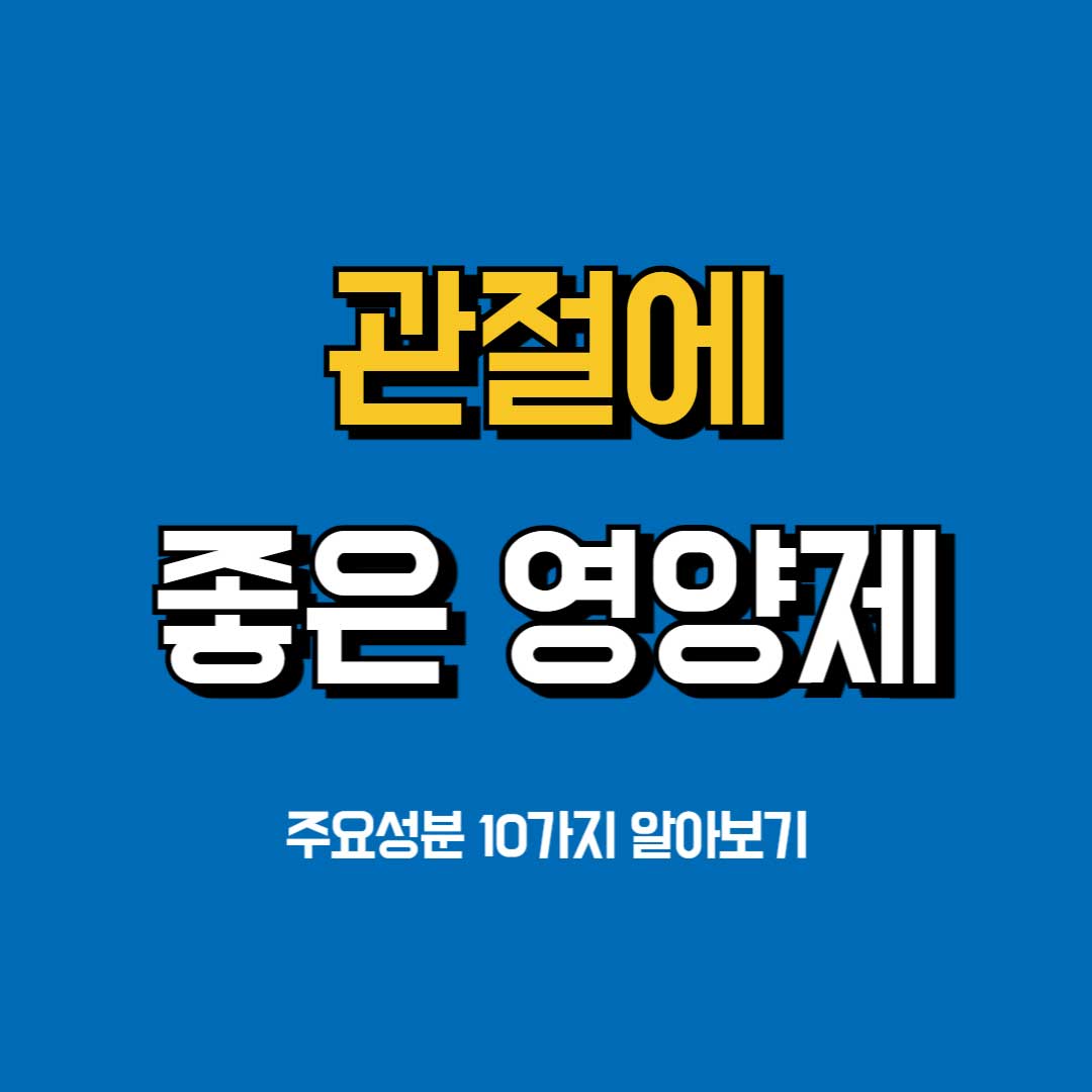 무릎관절에-좋은-영양제