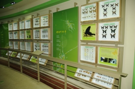 자연속 힐링! 가평&양평 아이랑 가기 좋은곳 BEST 5 관련 사진