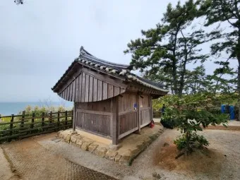 부안 수성당 유채꽃 히든스팟 개화시기_4