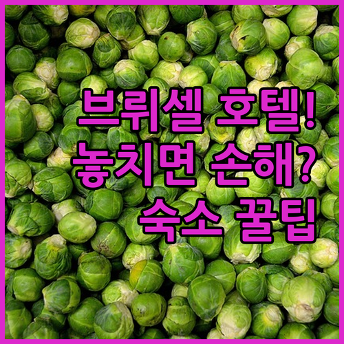 브뤼셀 여행 호텔 선택 가이드 가성비..