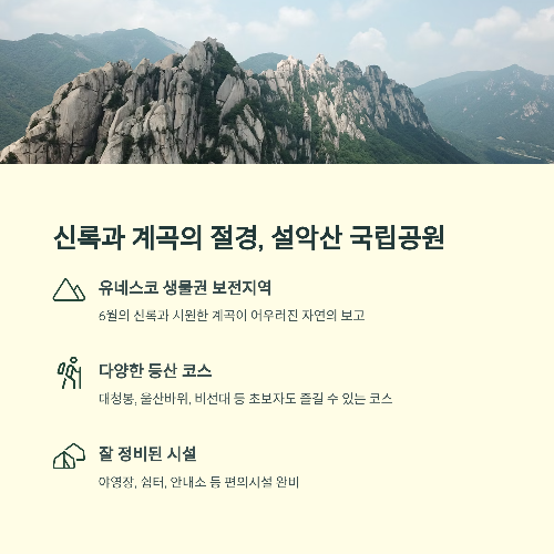 6월 강원도 여행지 추천 BEST 6