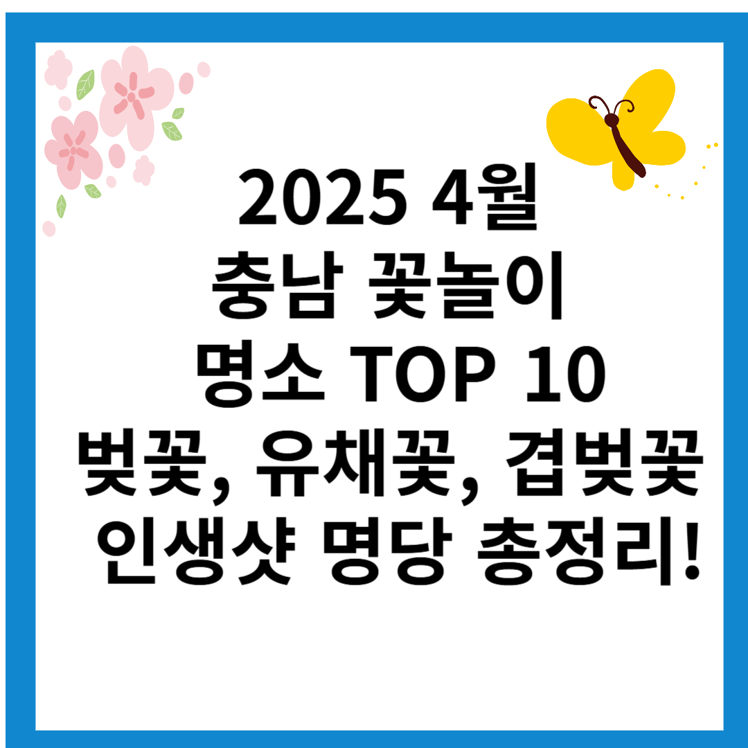 꽃놀이-충남-벚꽃-유채꽃-겹벚꽃