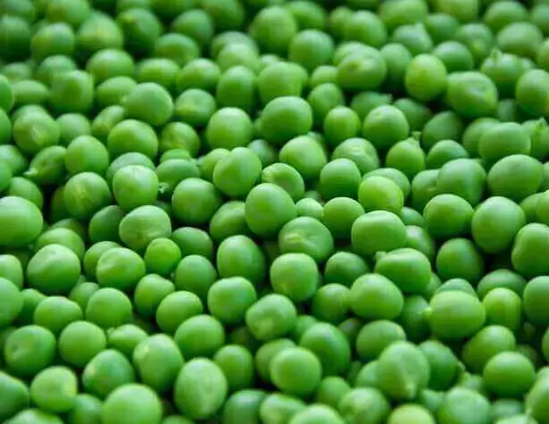 빈혈-좋은음식-콩