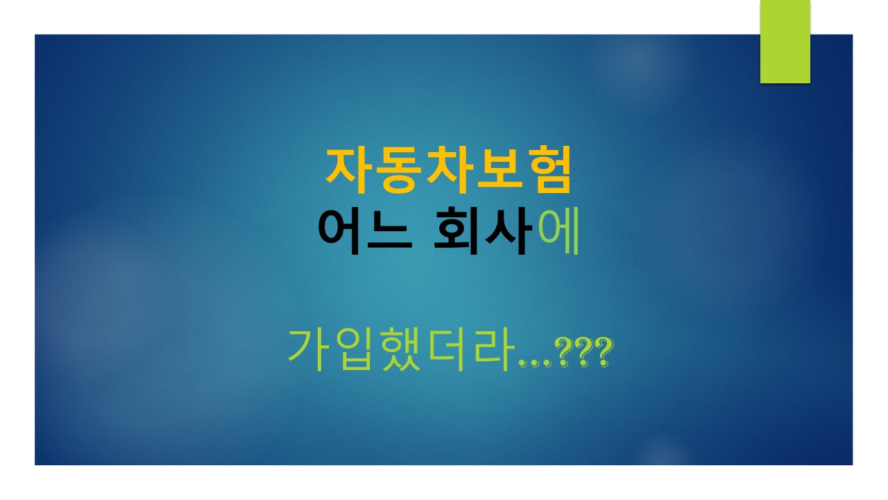 자동차보험어느회사에가입했더라...