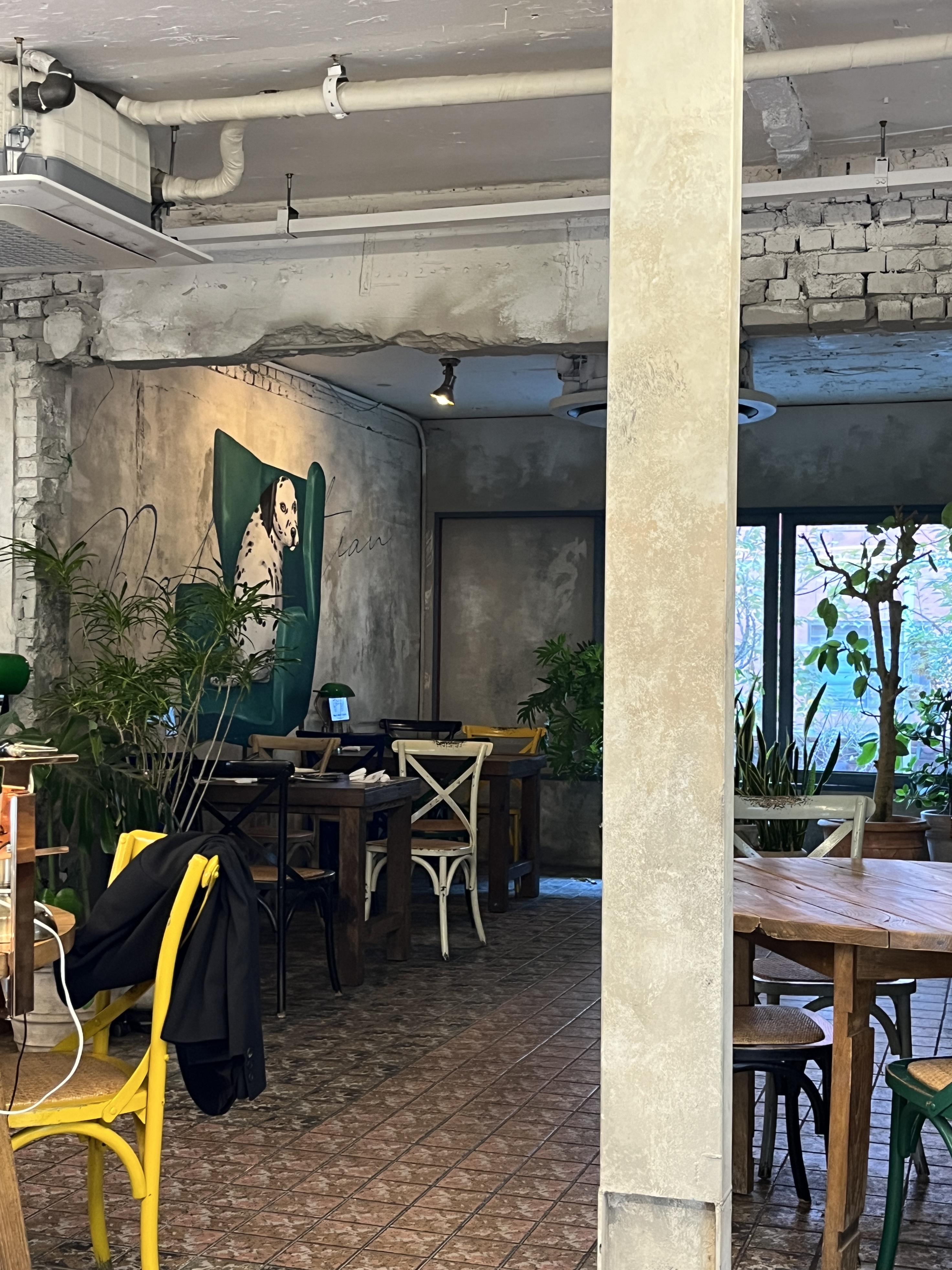 달마시안 압구정점