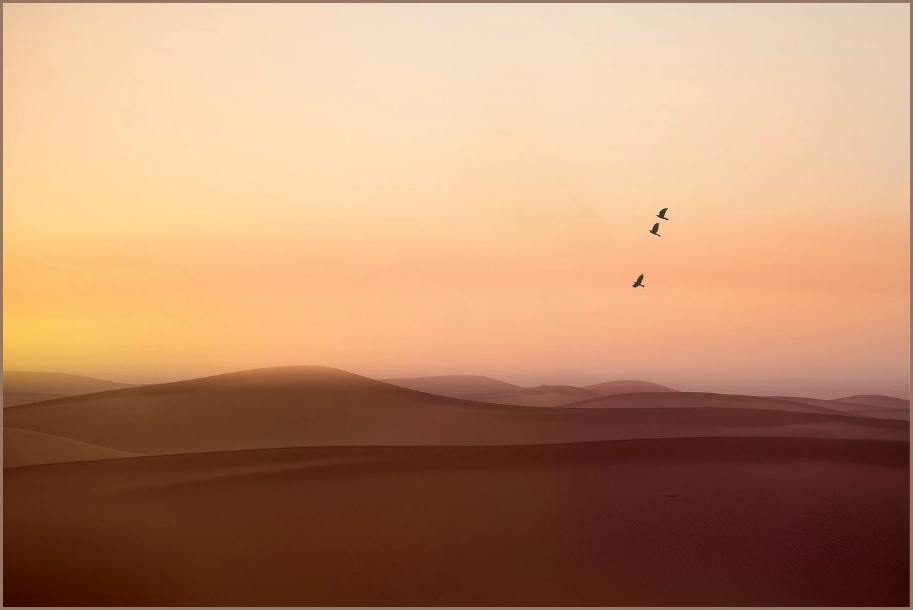 수협 정기예금 금리