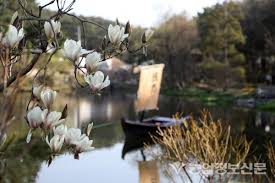  제 7회 천리포 수목원 목련 축제 특징