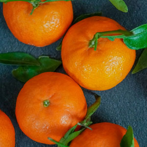 빈혈에 좋은 과일 - 귤