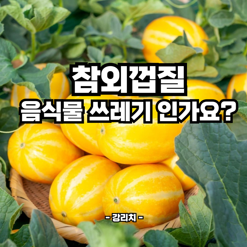 참외껍질 음식물쓰레기 인가요