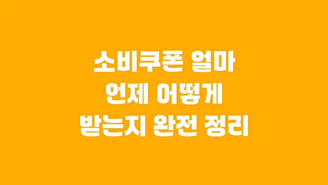 소비쿠폰 얼마 언제 어떻게 받는지 완전 정리