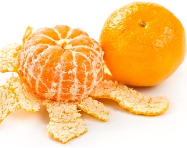 겨울 과일 종류