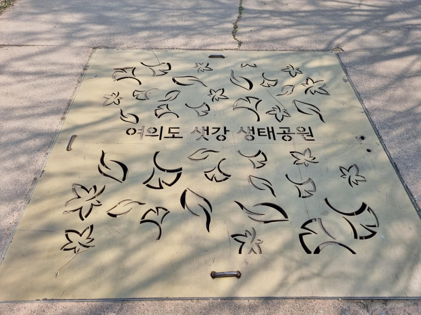 여의도 샛강 생태공원 여의도 벚꽃축제