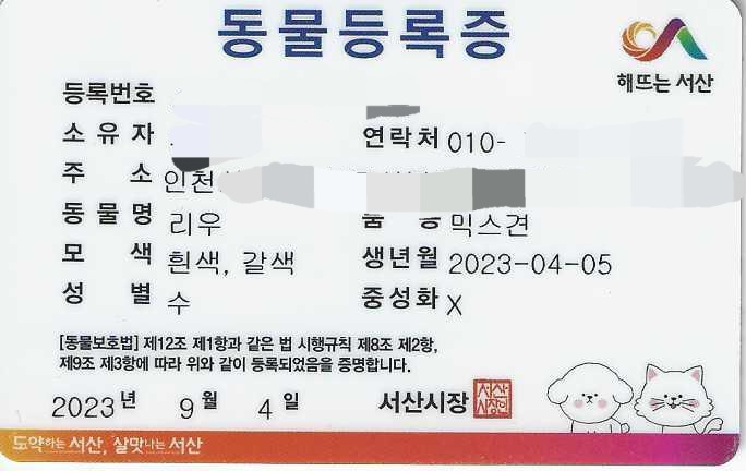 동물등록번호 조회 방법