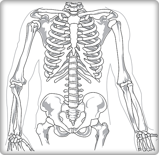 왼쪽 갈비뼈 아래 통증4