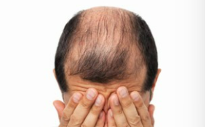 쏘팔메토의 효능