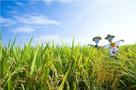 농업경영체 등록