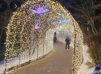 365일 빛축제 가을에 꼭 가봐야할 빛축제 BEST 5