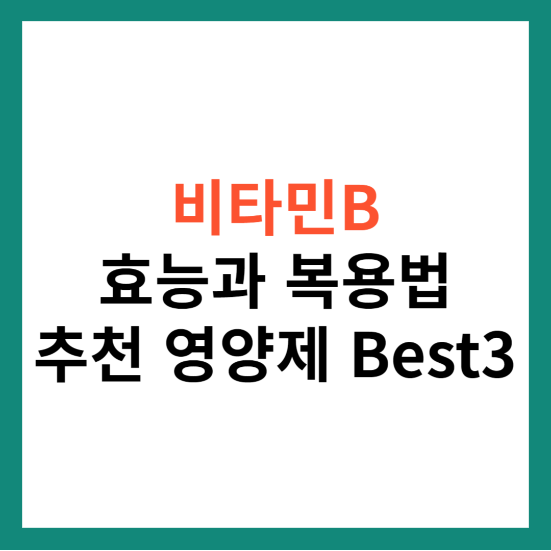 비타민B 영양제 추천! 비타민B 종류 효능 (추천 영양제 Best5)