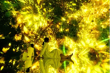 일본 도쿄 팀랩플래닛 관람-떨어지는 꽃들의 우주에 떠다니며