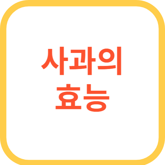 사과의 효능