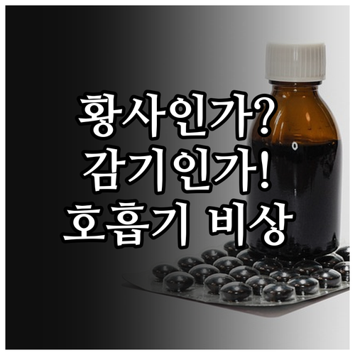 황사 기침과 감기 구분법 및 영유아 ..