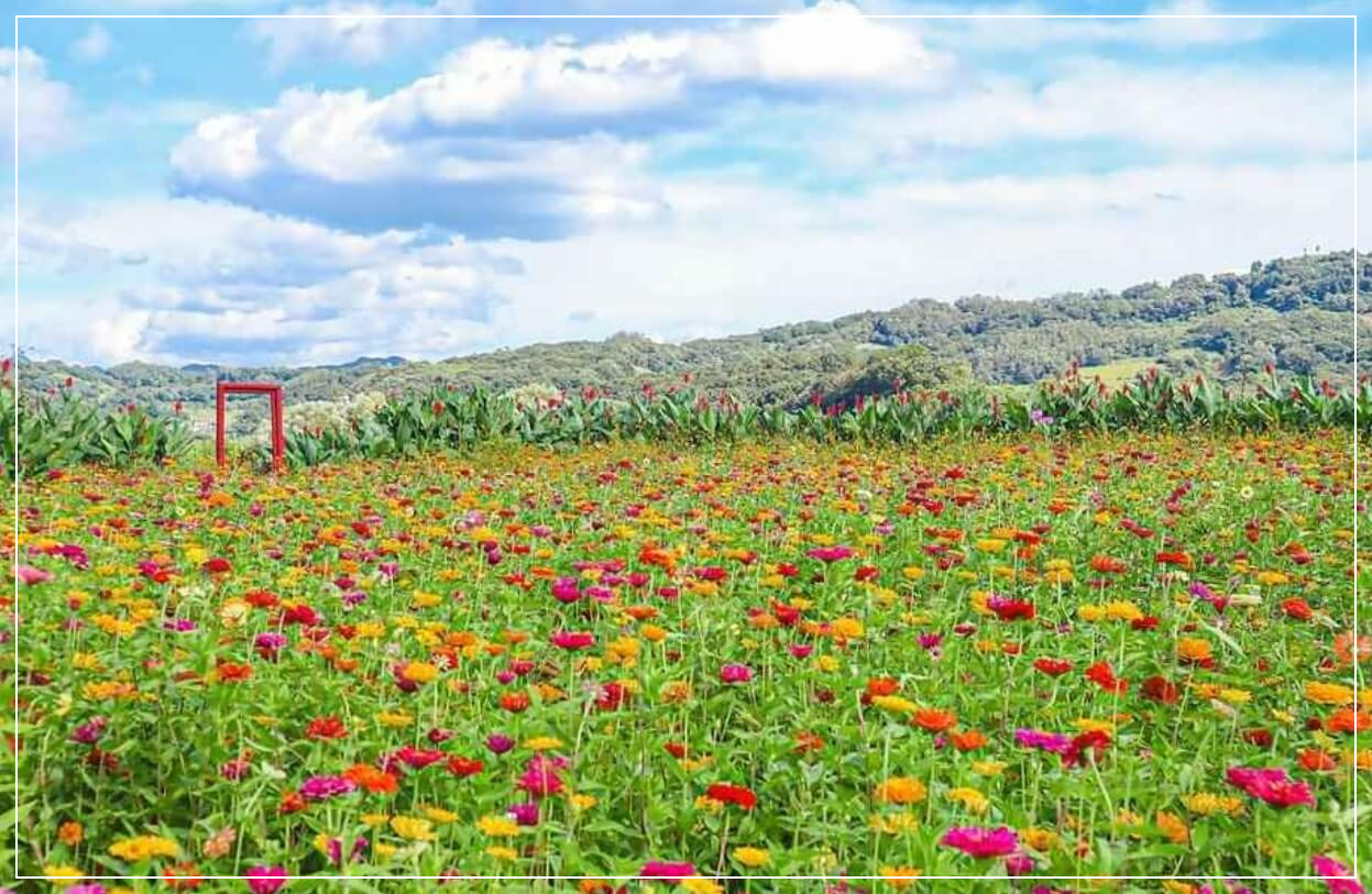 연천 가볼만한곳 베스트10 임진강 댑싸리공원