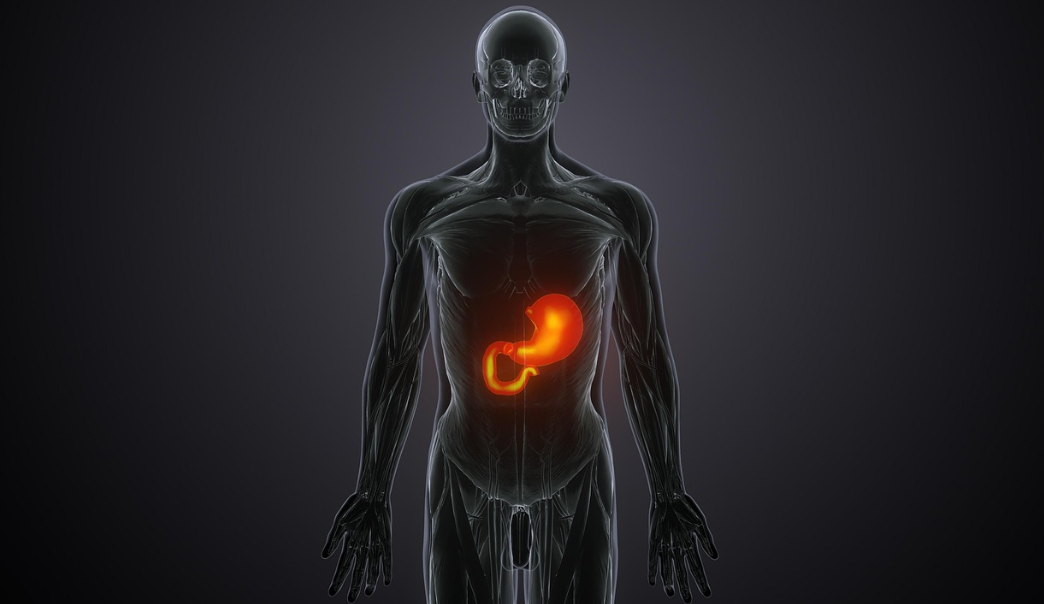 간경변증(간경화)이란 무엇인가요? 병태생리와 증상, 발견시기까지