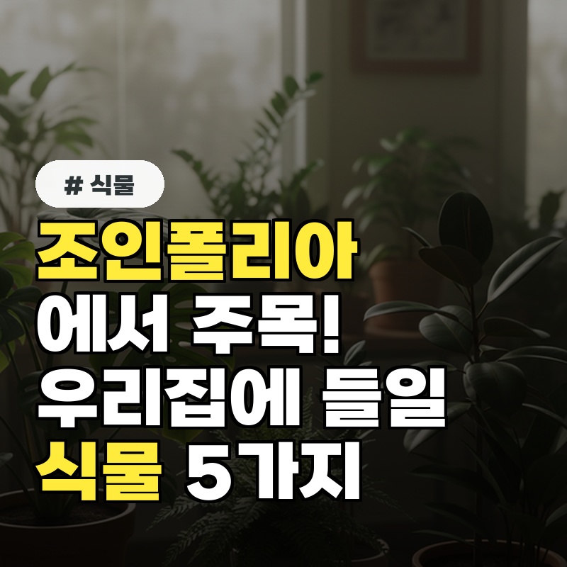 조인폴리아에서 주목! 우리집에 들일 식물 5가지