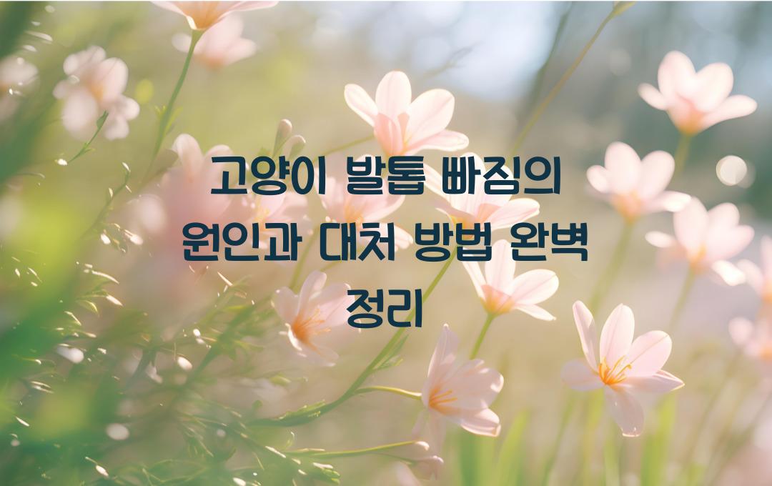 고양이 발톱 빠짐의 원인과 대처 방법